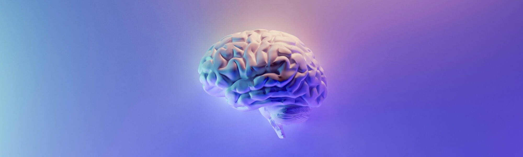 Brain AI Image